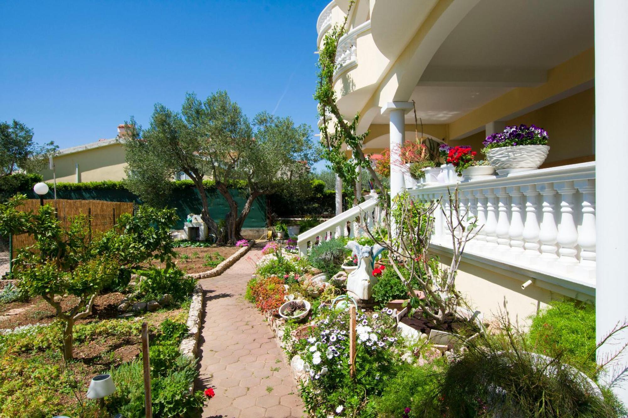 Apartments Dandelion Biograd Na Moru Esterno foto